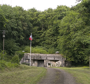 faustin